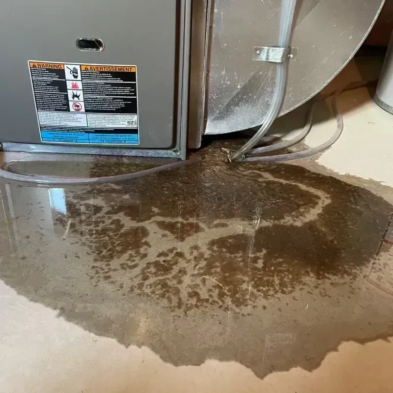 Appliance Leak Cleanup in Ontario, CA